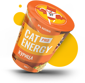 Фото Cat Energy Pro со вкусом курицы